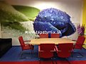 Fototapeta na stene Tulipán 24412