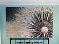 Spálňa - Fototapeta na stene vynikne aj nad čelom postele