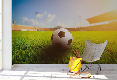 Fototapeta Futbalová lopta na ihrisku