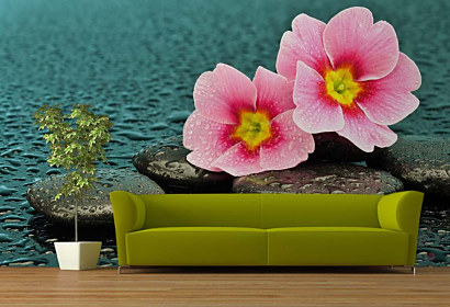 Tapety wellness centrum