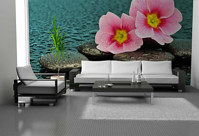 Still life - flowers stones and water - fototapeta