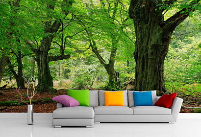 3D tapeta Stromy 29086