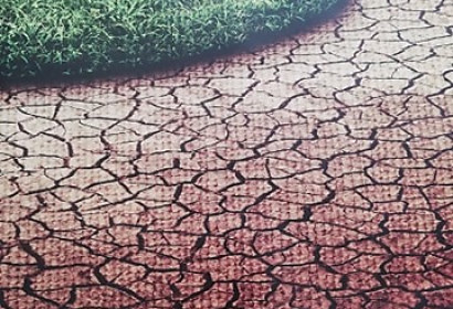 Zľava 50% - Fototapeta na stenu Strom, 220x260cm