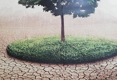Zľava 50% - Fototapeta na stenu Strom, 220x260cm