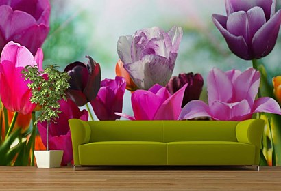 fototapeta - tulipány na lúke