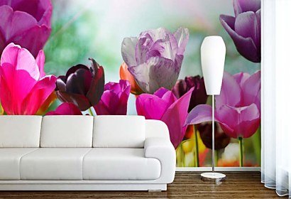 fototapety - tulipány na lúke