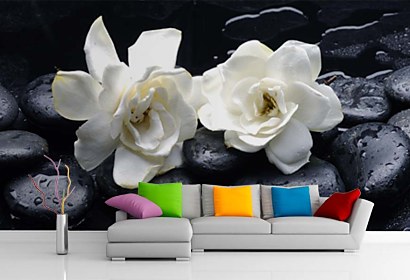 Fototapeta Black spa stones with white flowers 24257