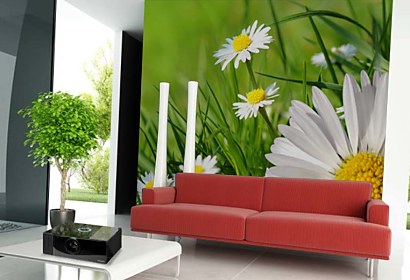Fototapeta Chamomiles in grass 24083