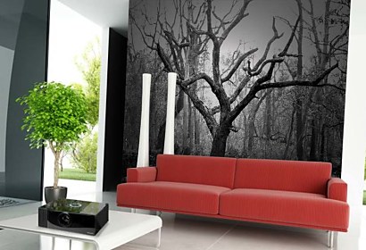 Fototapeta Fotografia Kmeň Stromu 24700