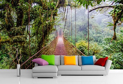 Fototapeta Jungle bridge 24828