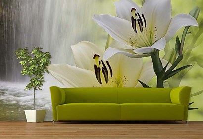 Fototapeta Lily and Waterfall 24718