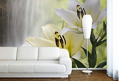 Fototapeta Lily and Waterfall 24718