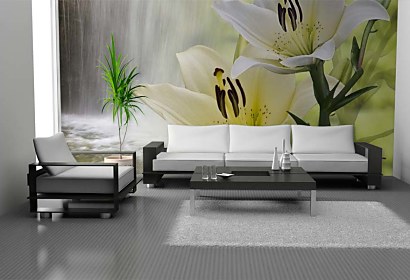 Fototapeta Lily and Waterfall 24718