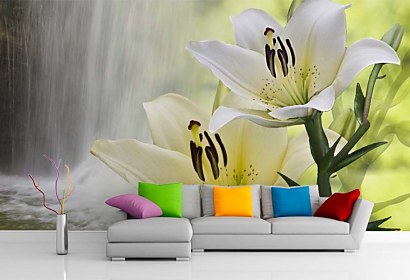 Fototapeta Lily and Waterfall 24718