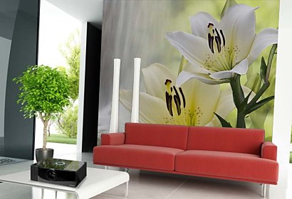 Fototapeta Lily and Waterfall 24718