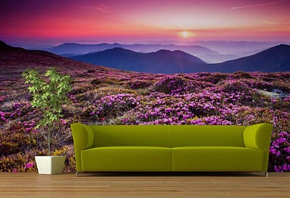 Fototapeta Mountain Rhododendrons 24800