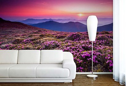 Fototapeta Mountain Rhododendrons 24800