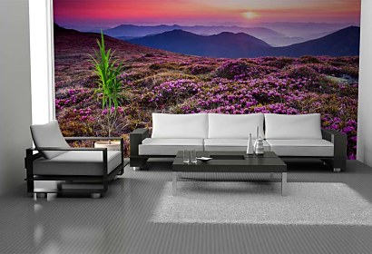 Fototapeta Mountain Rhododendrons 24800