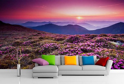 Fototapeta Mountain Rhododendrons 24800