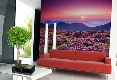 Fototapeta Mountain Rhododendrons 24800