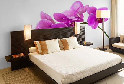 Fototapeta Orchidea na bielom pozadí 24784