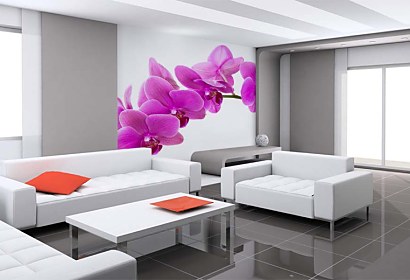 Fototapeta Orchidea na bielom pozadí 24784