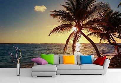 Fototapeta Palm tree on the tropical beach 24841