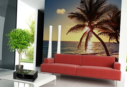 Fototapeta Palm tree on the tropical beach 24841