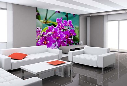 Fototapeta Purple orchid flowers 24286