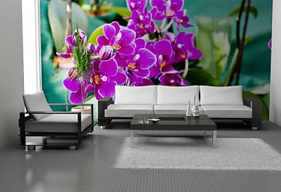 Fototapeta Purple orchid flowers 24286