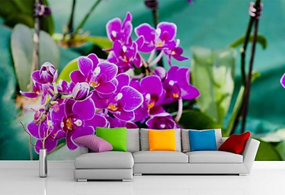 Fototapeta Purple orchid flowers 24286
