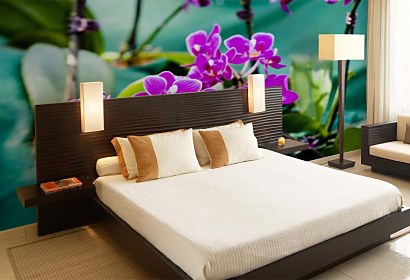 Fototapeta Purple orchid flowers 24286