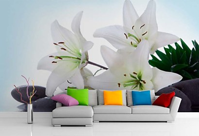 Fototapeta Spa still life Lily and Zen pebbles 24377