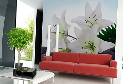 Fototapeta Spa still life Lily and Zen pebbles 24377