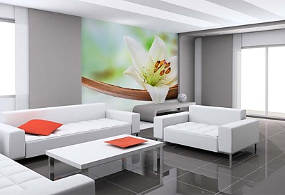 Fototapeta White Lily Inspiration 24228