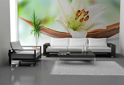Fototapeta White Lily Inspiration 24228