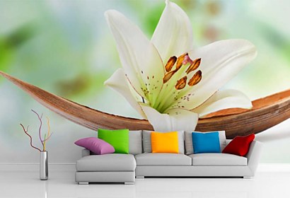 Fototapeta White Lily Inspiration 24228