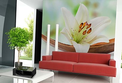Fototapeta White Lily Inspiration 24228