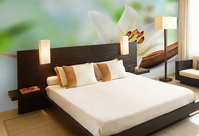 Fototapeta White Lily Inspiration 24228