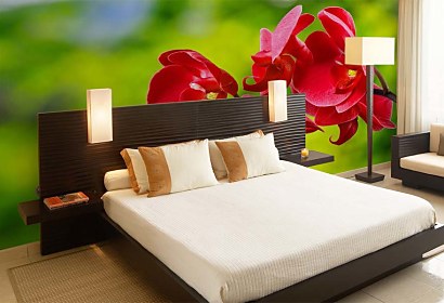 Fototapeta červená orchidea 24762