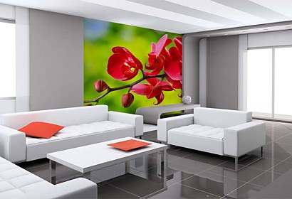 Fototapeta červená orchidea 24762