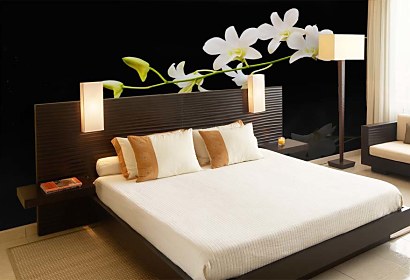 Fototapeta White Orchid in bloom 18582