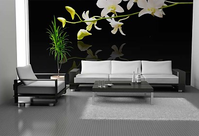 Fototapeta White Orchid in bloom 18582