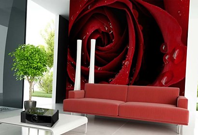 vinylová tapeta s red rose
