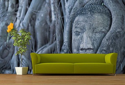 Fototapeta Buddha v koreňoch stromu 3271