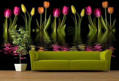 fototapeta - farebné tulipány