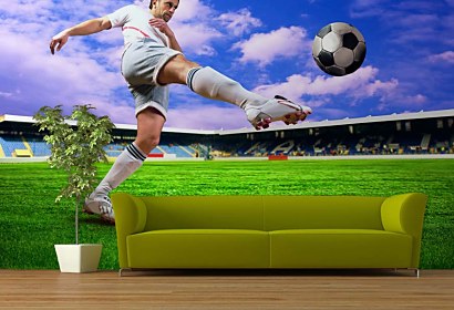 Tapeta Futbal 18621