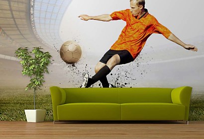 Fototapeta Football 290