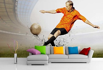Fototapeta Football 290