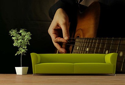 Fototapeta Guitar player